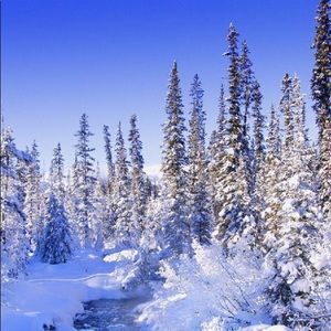 Meet your Posher, Josh